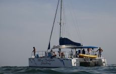Blue Dolphin catamaran tour
