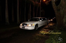 Limousines for Rent