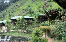 Trogon Lodge