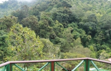 Trogon Lodge